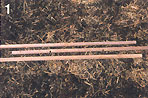 Easy Beans: Tipi Style Image